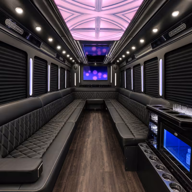 18 Passenger Party Bus Interior