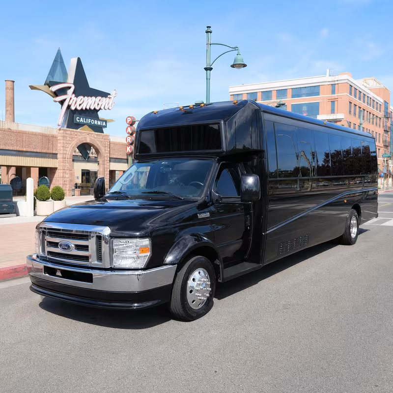 18 Passenger Party Bus