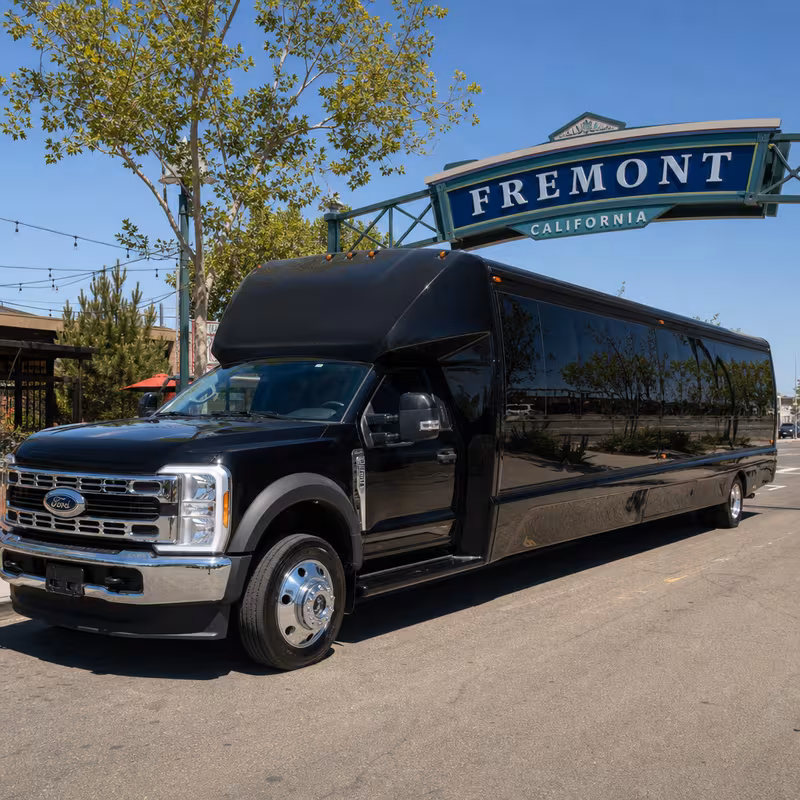 28 Passenger Party Bus