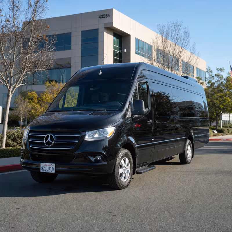 14 Passenger Sprinter Limo